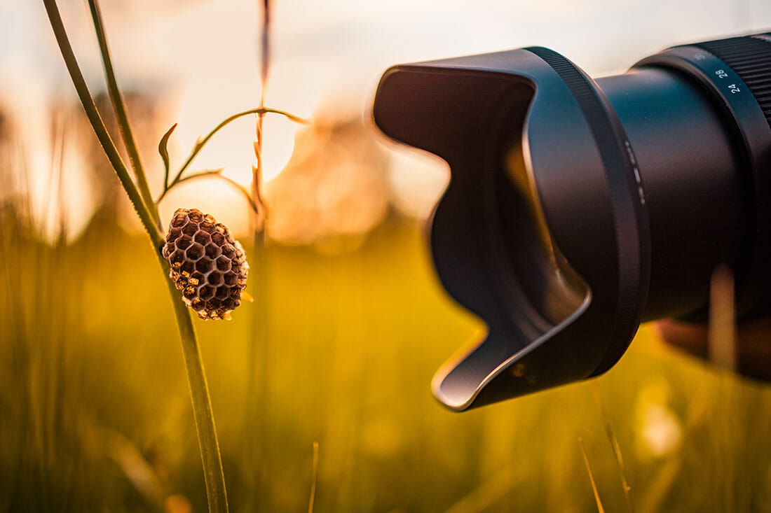 nature photography tutorial