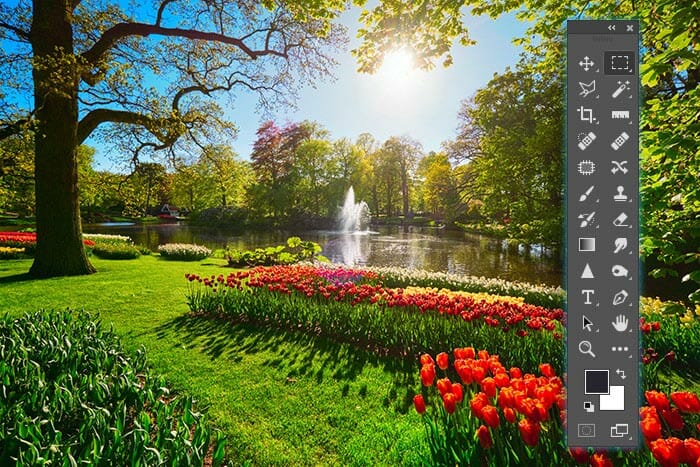 sun shining in a park with red flowers