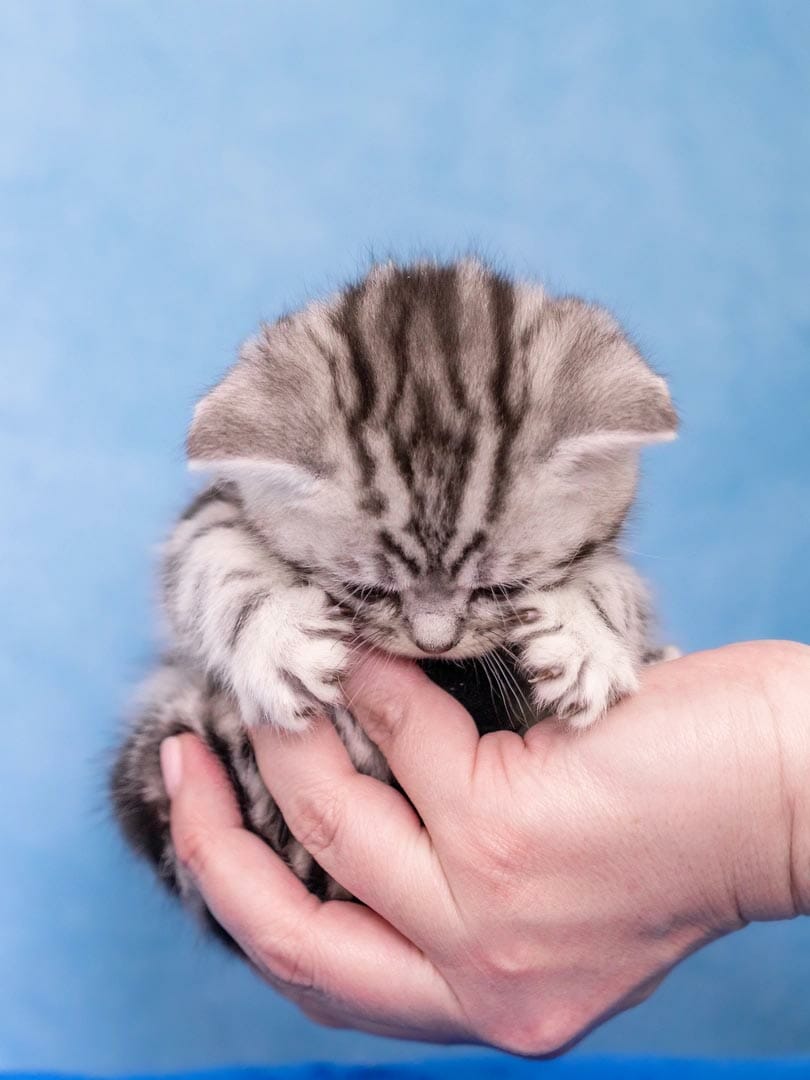 Image by Teresa Farr (iPhotography Student)