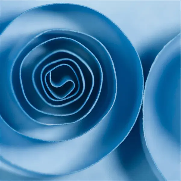 Abstract photograph