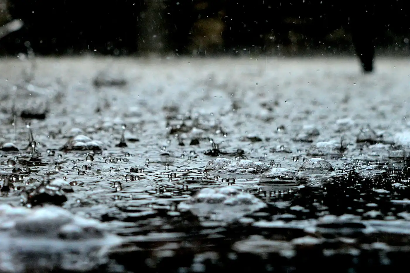 Rain drops with fast shutter speed
