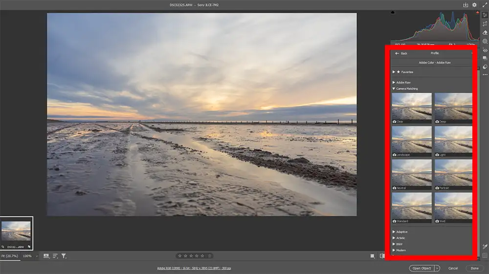 colour profiles Adobe Camera RAW