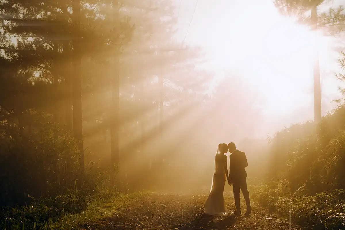a couple kissing in a forest in the path of a bright sunlight with rays streaming through the woods