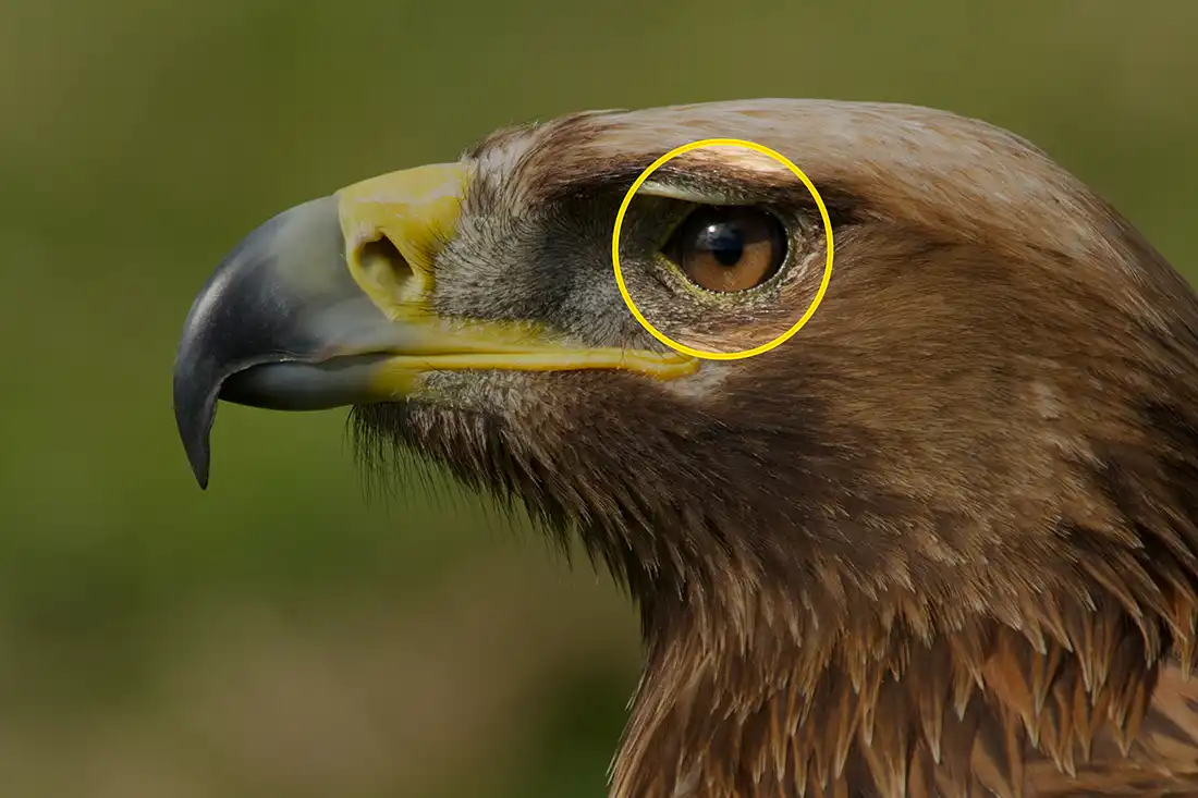 Glossary of Photography Lighting Terms by iPhotography.com