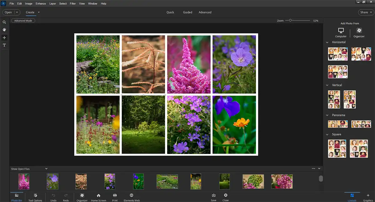 screenshot of Adobe Photoshop Elements with a collage of 8 photos of flowers on screen
